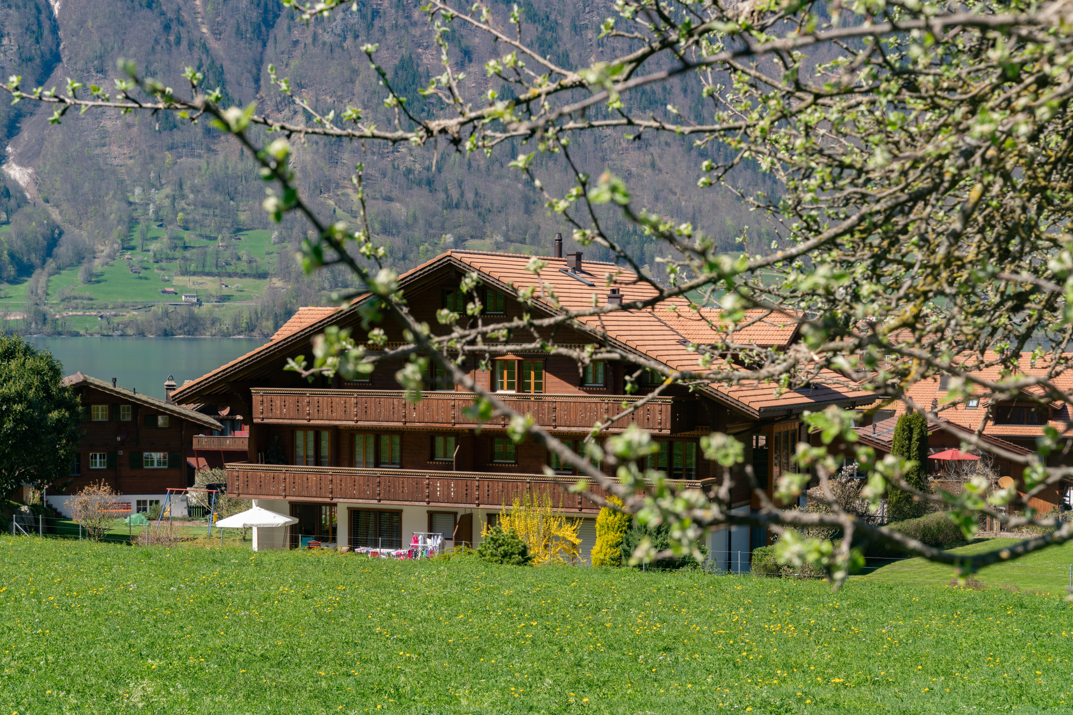 Chalet Faulhorn für Webseite